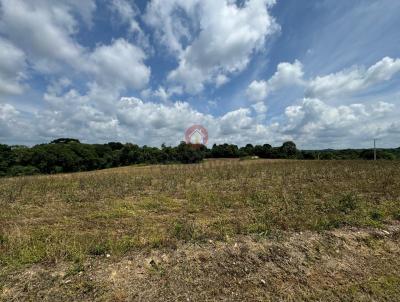 Chcara para Venda, em Araucria, bairro Lagoa Suja