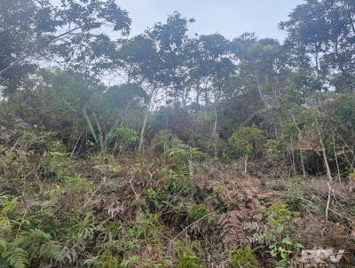 Terreno para Venda, em Terespolis, bairro Granja Mafra