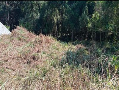 Terreno para Venda, em Mairipor, bairro Terra Preta (Terra Preta)