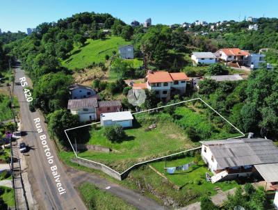 Terreno para Venda, em Erechim, bairro So Caetano