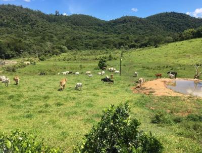 Terreno para Locao, em , bairro 