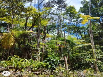 Terreno para Venda, em Itacar, bairro Camboinha