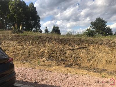 Terreno para Venda, em , bairro Amola Flecha