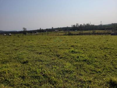 Terreno para Venda, em Iara, bairro 2 linha