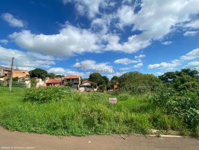 Terreno para Venda, em Santo Antnio da Platina, bairro Residencial Maria Fernandes