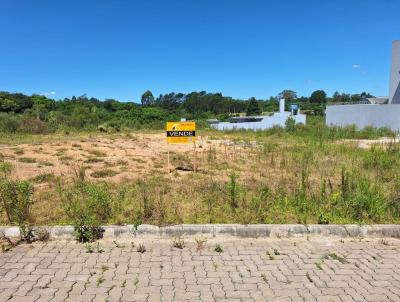 Terreno Urbano para Venda, em Canguu, bairro Prado