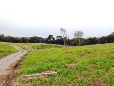 Stio / Chcara para Venda, em Nova Petrpolis, bairro Pinhal Alto