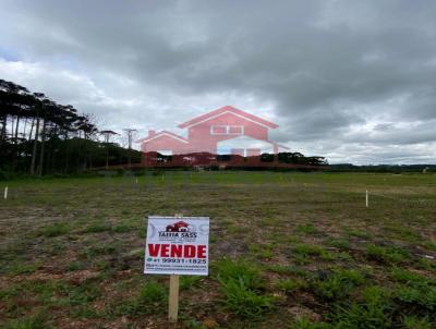 Terreno para Venda, em Campo do Tenente, bairro Centro