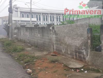 Terreno para Venda, em Itaquaquecetuba, bairro Jardim Paineira