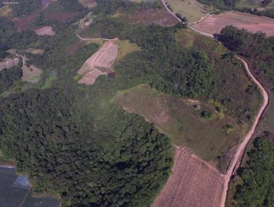 rea Rural para Venda, em Piedade, bairro Oliveiras