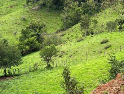 Terreno para Venda, em Crrego do Bom Jesus, bairro Lavras