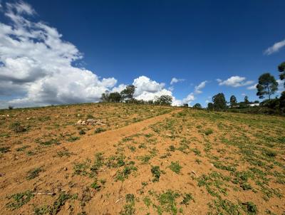 Terreno para Venda, em Toledo, bairro Rural