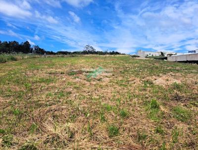 Terreno para Venda, em Garibaldi, bairro Borguetto