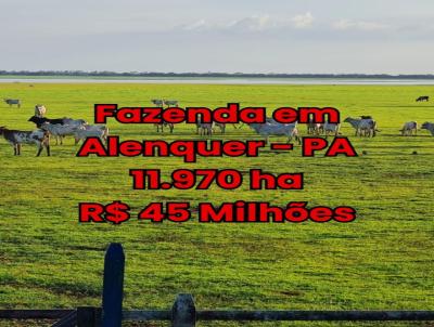 Fazenda para Venda, em Alenquer, bairro ZONA RURAL