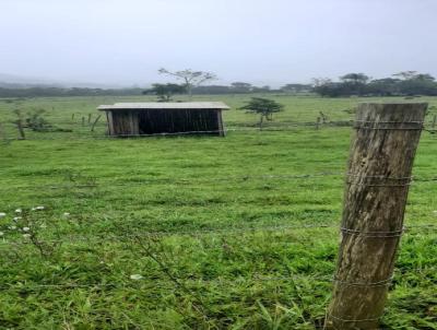 Terreno para Venda, em Imaru, bairro Ribeiro de Cangueri