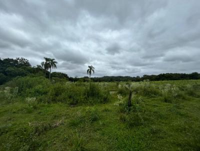 Chcara para Venda, em Santa Cruz do Sul, bairro Aliana