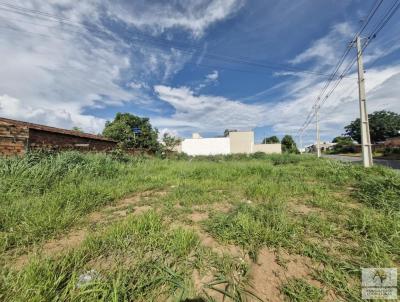 Lote para Venda, em Aparecida de Goinia, bairro Independncia - 2 Complemento