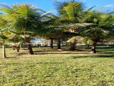 Chcara para Venda, em lvares Machado, bairro Chcaras Martins