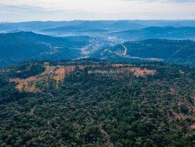 Fazenda para Venda, em Urubici, bairro Avencal | So Cristvo