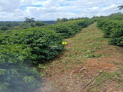 rea Rural para Venda, em Muzambinho, bairro estrada
