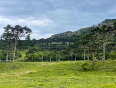 Stio para Venda, em Urubici, bairro 