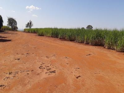 Stio para Venda, em Santa Rosa de Viterbo, bairro RURAL