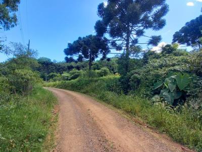 Stio / Chcara para Venda, em Santa Maria do Herval, bairro Boa Vista do Herval