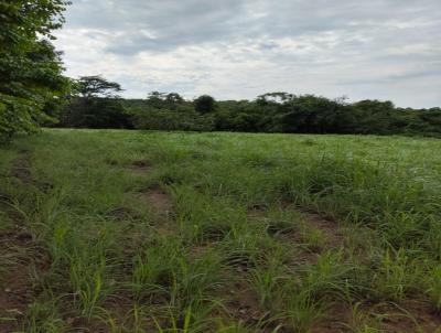 Chcara para Venda, em Palmas, bairro TAQUARUSSU