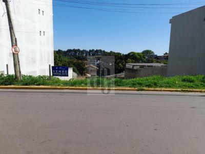 Terreno para Venda, em Viamo, bairro Centro