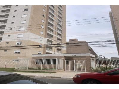imagem-miniatura