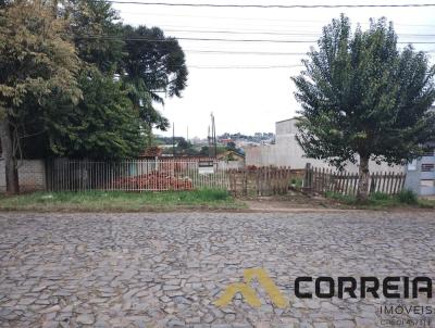 rea para Venda, em Irati, bairro Vila So Joo