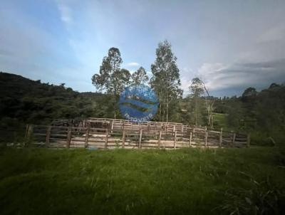 Stio para Venda, em Amparo, bairro Brumado