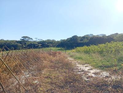 rea para Venda, em Ibina, bairro Campo verde