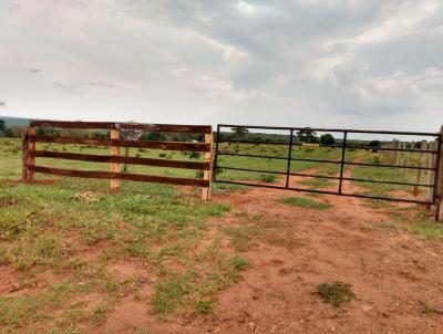 Arrendamento para Locao, em Campo Grande, bairro RURAL