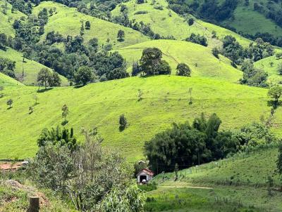 Terreno para Venda, em Crrego do Bom Jesus, bairro Serrinha