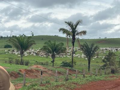 Fazenda para Venda, em Apu, bairro Rural