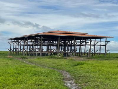 Fazenda para Venda, em Chaves, bairro ILHA DO MARAJ