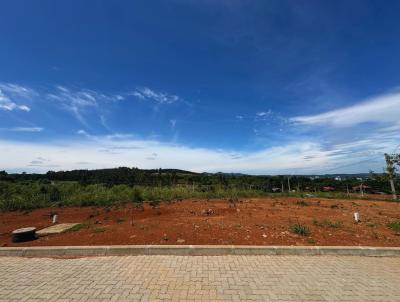 Terreno para Venda, em Dois Irmos, bairro Vale Direito