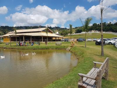 Ponto Comercial para Locao, em Atibaia, bairro Jardim Maracan