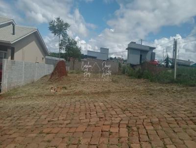 Terreno para Venda, em Carazinho, bairro VILLA VERDE