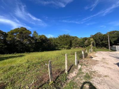 Terreno para Venda, em Florianpolis, bairro Ingleses do Rio Vermelho