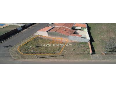imagem-miniatura