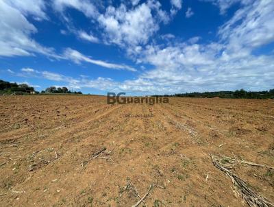 Stio para Venda, em Cesrio Lange, bairro 