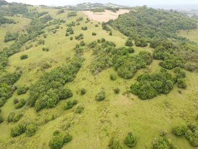 rea Rural para Venda, em Canguu, bairro 4 Distrito de Canguu