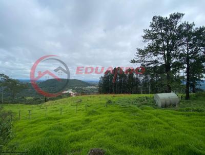 Terreno para Venda, em Mairipor, bairro Olho Dgua