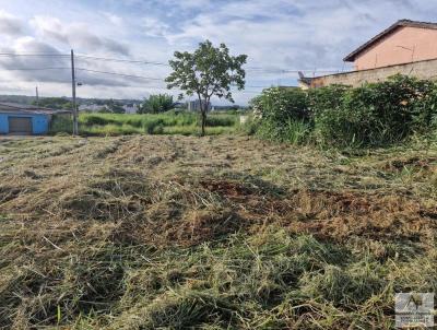 Lote para Venda, em Aparecida de Goinia, bairro PARQUE DAS NAES