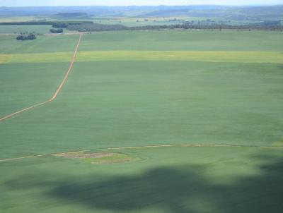 Fazenda para Venda, em Ipameri, bairro RURAL