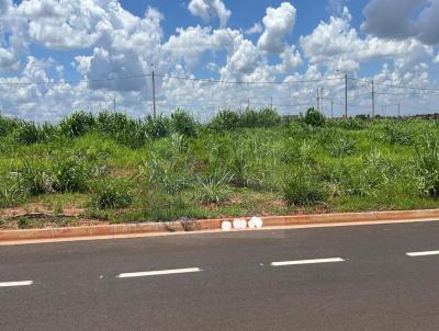 Terreno para Venda, em So Jos do Rio Preto, bairro Jardim Leste