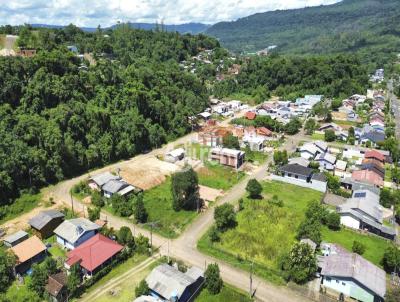 Terreno para Venda, em Igrejinha, bairro Figueira