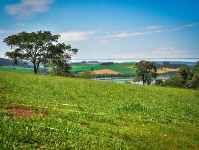 Fazenda para Venda, em Conquista, bairro RURAL